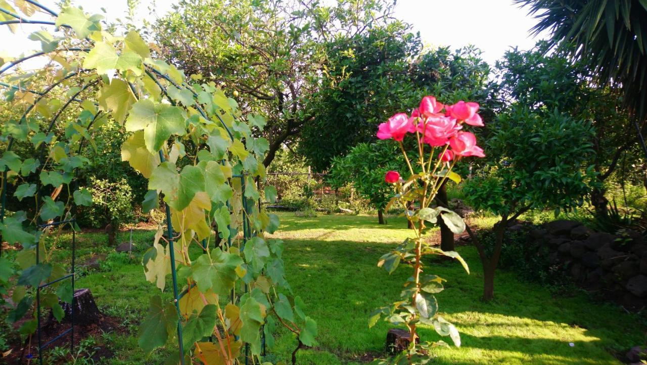 B&B Casanera Riposto Exterior photo