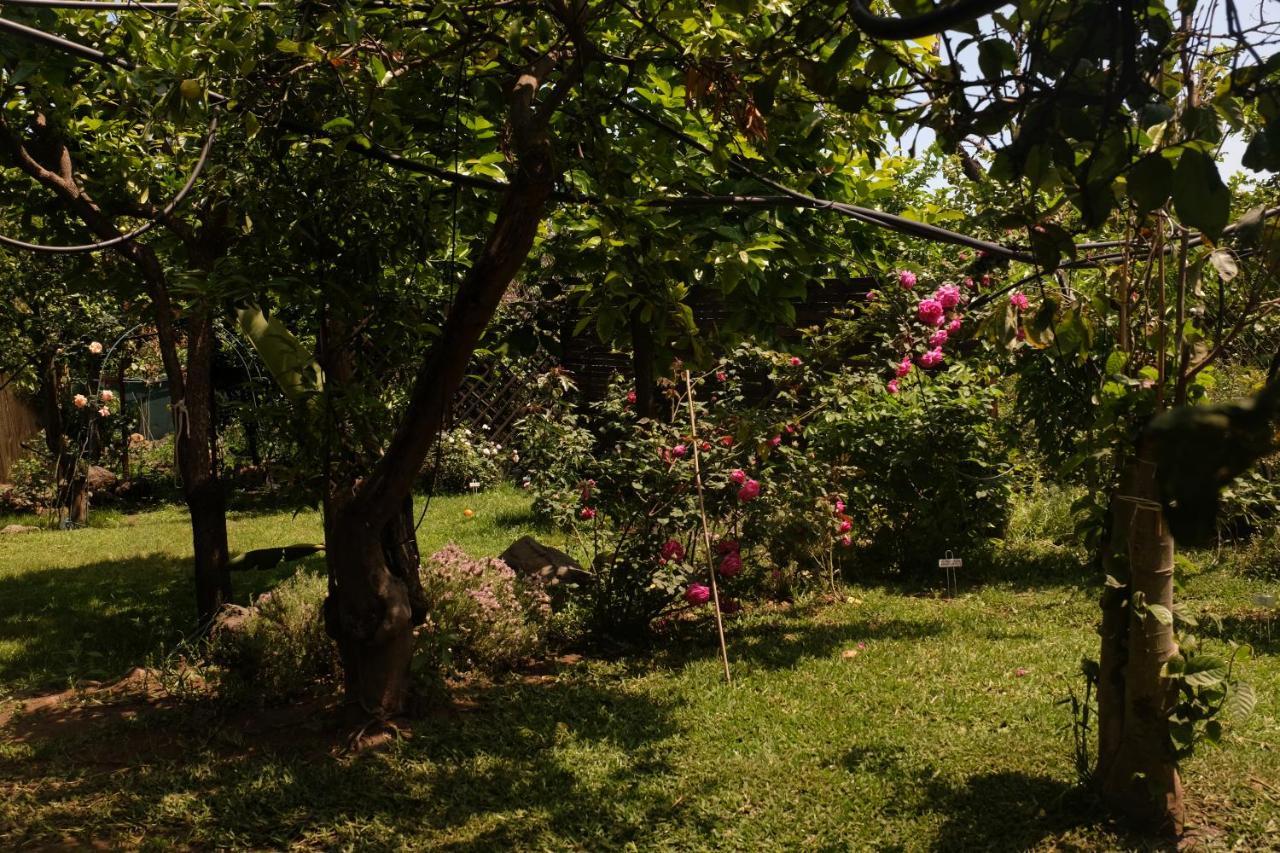 B&B Casanera Riposto Exterior photo