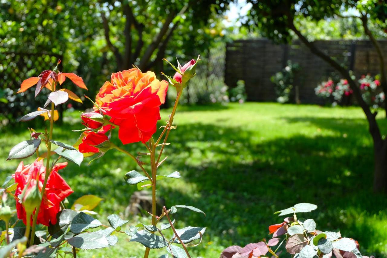 B&B Casanera Riposto Exterior photo